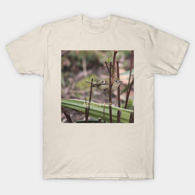 Goldcrest Bird perched on a twig Photograph T-Shirt by Athene Art